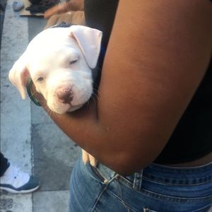 Meet your Posher, Penelope